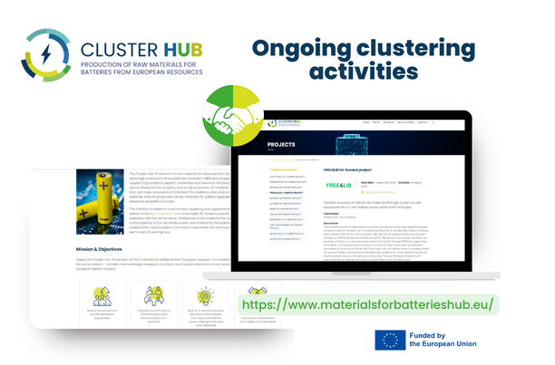Ongoing clustering activities: Insights from the FREE4LIB's Digital Battery Passport workshop